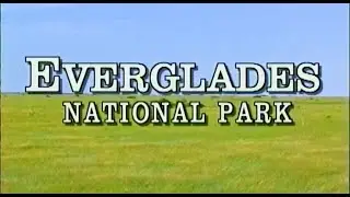 Everglades National Park - a retrospective look at video from this unique National Park.