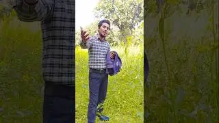 Aap Aye Bahaar Ayee #viral song #Rafi sahab #fazal talent viral video song 2026