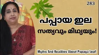 പപ്പായ ഇല, സത്യവും മിഥ്യയും! / Myths And Realities About Papaya Leaf!