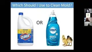 April 2022 Webinar: Mold Literacy, featuring AllRisk Property Damage Experts