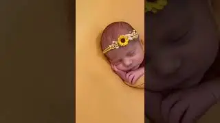Yellow Sunflower Themed Newborn Photography Session on Beanbag with Final Image
