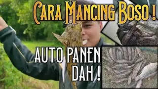 Cara mancing boso - Auto Panen Dah !