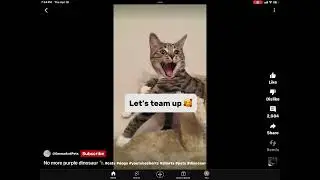 BEST MEMES OF MARCH