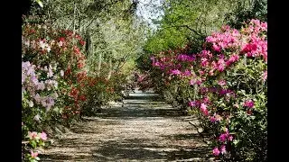 Wedding venues in South Carolina