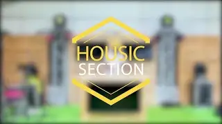 HOUSIC Section - DJ Wolf