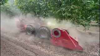 Raccolta in campo di nocciole Piemonte Igp!