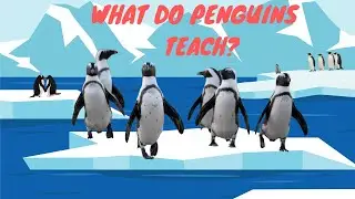 Lessons From The Penguin: A Living Example Of God's Unconditional Love | Divine Designs