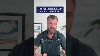 The Real Reason ADHD Brains Crave Chaos