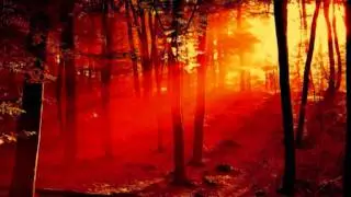 Vibrasphere feat Irina Mikhailova - Meander