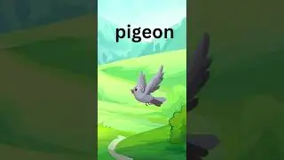 learn the birds name for kids | short video no.5 |  #interactivelearning #math #childrenseducation