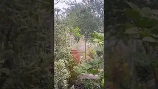 Having green in the garden so soothing to your senses #gardenmaintenance