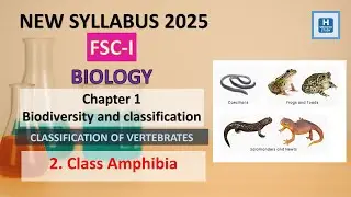 11th Class Biology New Book 2025 Chapter 1 | Classification of Vertebrates | Class Amphibia | FSC-1