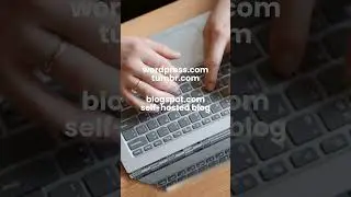 4.3 Private Blog Network Strategy