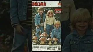 𝐓𝐨𝐲 𝐂𝐚𝐭𝐚𝐥𝐨𝐠 𝐀𝐝𝐬 𝐅𝐫𝐨𝐦 𝐓𝐡𝐞 𝟕𝟎&rsquo;𝐬/𝟖𝟎&rsquo;𝐬 #Toys #catalog #70s #80s #nostalgia #nostalgic #oldphotos #1980s