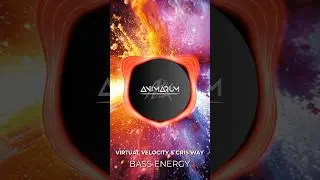 Virtual Velocity & Cris Way - Bass Energy is out now 🔥 #soultechno #animarum #music