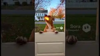 Dog Fire #brez #dog #dogfire #clips #ai