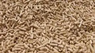 Pellettatrice - Pellet mill by Gastoneg con dosatore