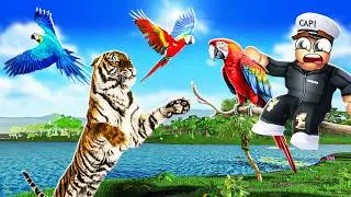 JUNGLE LIFE of MACAW in ROBLOX