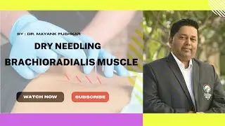 Dry Needling |Brachioradialis Muscle | Tennis Elbow | Elbow Pain |Sports Injuries | Pain