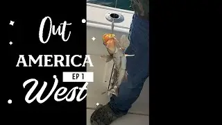 Out West America - Fishing the Southern California Bight in Winter