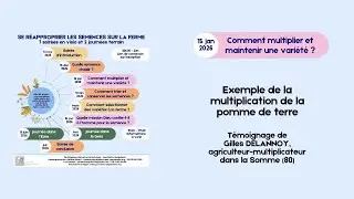 [Cycle de conf&eacute;rences semences - 3] La multiplication des plants de pommes de terre