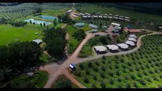 BELURAN - SIJAS ESTATE   by SABAH FAN FLY CLUB