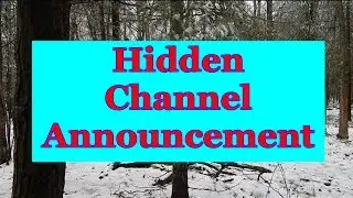 (the) Hidden Observer