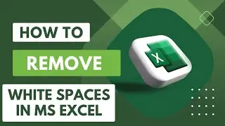 Quick and Easy Ways to Remove White Spaces and Clean Up Your Data - Ms Excel