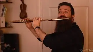 'Brink of Time' from Chrono Trigger ~ Composed by Yasunori Matsuda // GRIZZLYFLUTE //