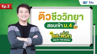 ติวชีววิทยา สอบเข้า ม.4 by พี่บิ๊ก เดอะเบรน🔥