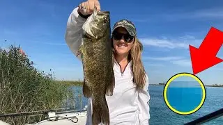 Man Takes A Picture Of His Wife On Fishing Trip &ndash; Then He Spotted Something In The Ocean!