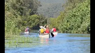 The River of Mirrors (Noosa Everglades)