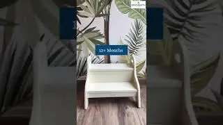 All You Need To Know About Toddler Step Stool | Brainsmith.in