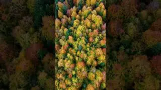 DJI MINI 4 PRO - Verticam mode #aerialadventures #dronetechnology #lightsandshadows