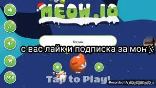 Играем в игру: Meow.io