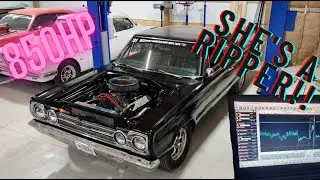 Holley EFI Tuning Terminator X // The Black Pearl IS A RIPPER!!