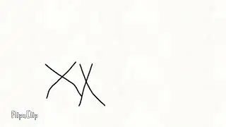 xx6