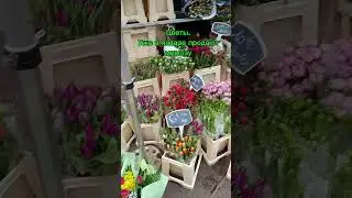 Прогулка на рынок.Франция