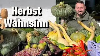 Gartenrundgang Oktober, große Ernte im Hausgarten