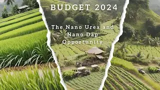 Budget 2024: The Nano Urea and Nano DAP Revolution in Indian Farming #multibagger #budget2024 #urea