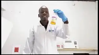 How to collect venous blood specimen from a patient