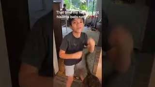 dog hits kid with tail