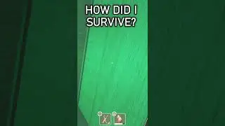 Ambush 