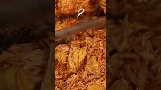Watch the magic of Mani&rsquo;s Dum Biryani come alive | Manis Dum Biryani