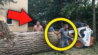 Idiots With Chainsaws: Tree Cutting Fails | Extreme Dangerous Logging Truck Fails #2
