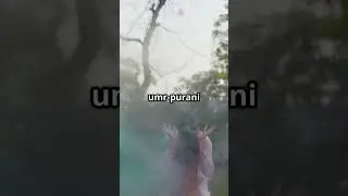 Holi of vrindavan#VrindavanHoli #HoliFestival #FestivalOfColors #HoliInIndia #VrindavanDiaries