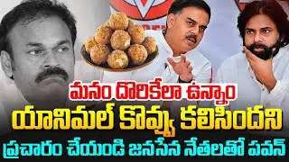 సిట్ రిపోర్ట్ పై పవన్ కళ్యాణ్ రియాక్షన్😱#karumurivenkatreddy Comments On #pawankalyan #tirumalaladd