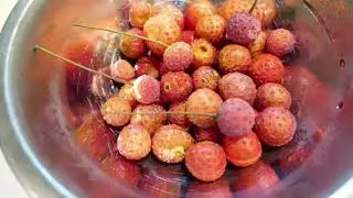 How to make wildedible Kousa Dogwood Berry Pancake Sause ヤマボウシ  Forager Japan Cooking