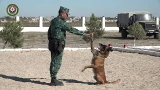 “Sərhədçilərin dostu” şüarı altında 7-ci kinoloji yarışlar keçirilmişdir