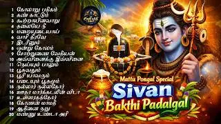 மாட்டுப் பொங்கல் 2026 சிவன் பக்தி பாடல்கள் | உழைப்பிற்கு அருள் தரும் சிவபெருமான் பாடல்கள்